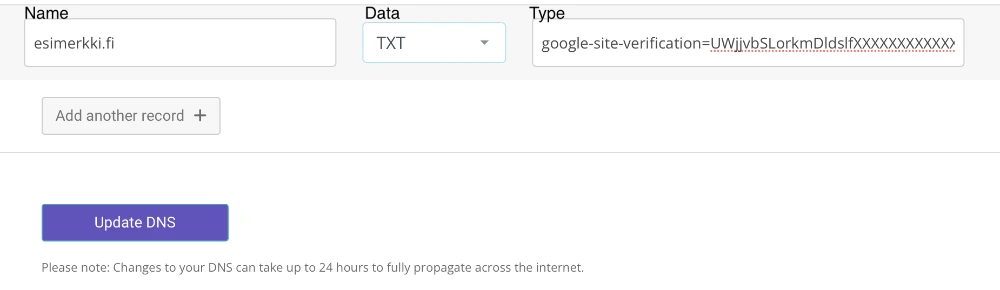 SnartSmartin webhotellissa voit vahvistaa verkkotunnuksen omistajuuden Google Search Consolen DNS -tietueen avulla.